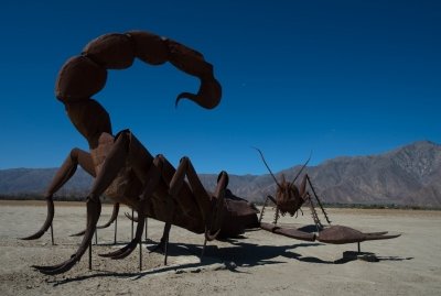 Black scorpion sting injects 25 distinct deadly toxins: IASST study