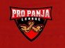 Pro Panja League Season 2 set to begin in Gwalior with six teams eying title