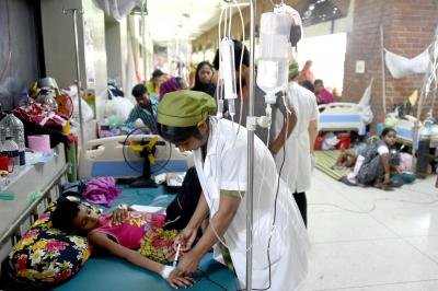Bangladesh: 432 new dengue cases reported as 2025 count crosses 30,000 mark