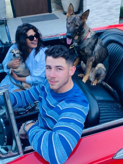 Priyanka, Nick celebrate furry friends Gino, Diana’s b’day: We love you so much