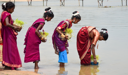 Working women in rural Bengal earn better than urban counterparts: Report