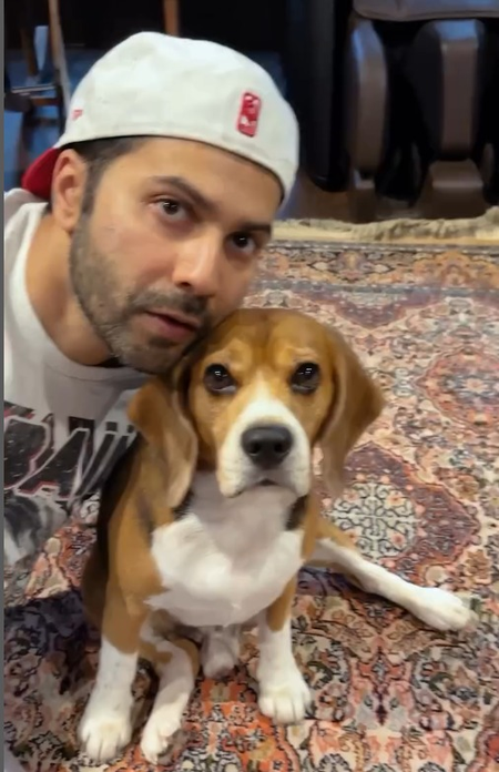 <div>Varun Dhawan finds the best dance partner for Bijuria, says ‘sorry Janhvi Kapoor’</div>