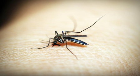 <div>Dengue fever cases surge in Vietnam’s capital Hanoi</div>