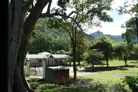 <div>Crackdown on illegal homestays, cottages intensified in TN’s Nilgiris</div>