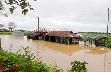 <div>Either conduct regular dredging or destroy the dams, Mamata’s ‘ultimatum’ to DVC</div>