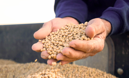 American farmers face tariff ripples on costs, market shifts: Reports