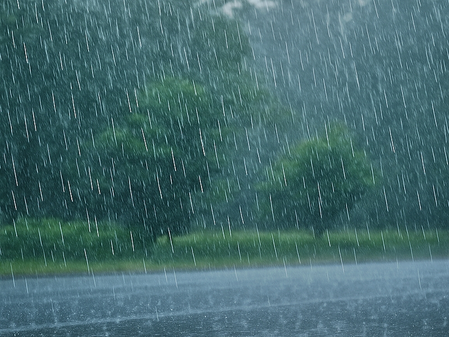 Met Office issues red alert for heavy rain in north Bengal on Friday
