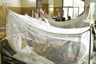 Bangladesh: Six more die of dengue, fatalities rise to 269 in 2025