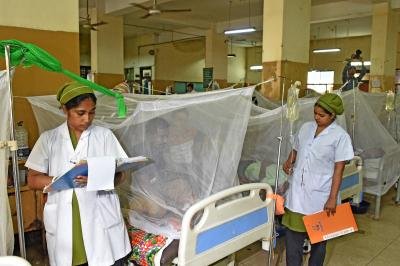 Bangladesh: Three more dengue fatalities raises 2025 death toll to 215