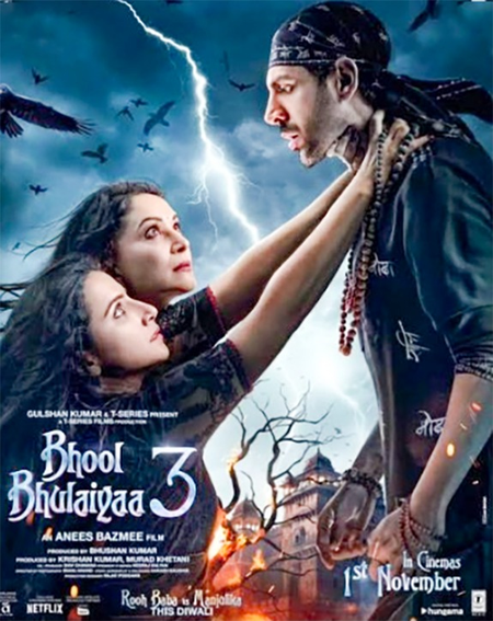 <div>Anees Bazmee says ‘Shukriya for all the love & duas’ as Bhool Bhulaiyaa 3 turns 1</div>