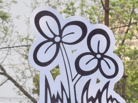 Trinamool plans mega anti-SIR rally in Kolkata on day one of 1st stage of revision exercise