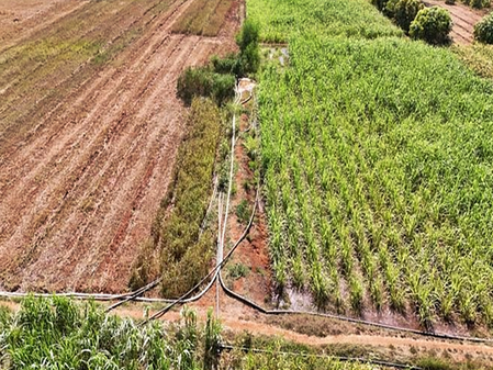 <div>Gujarat’s Lift Pipeline tech boosts irrigation across 1.39 lakh acres in tribal belt</div>