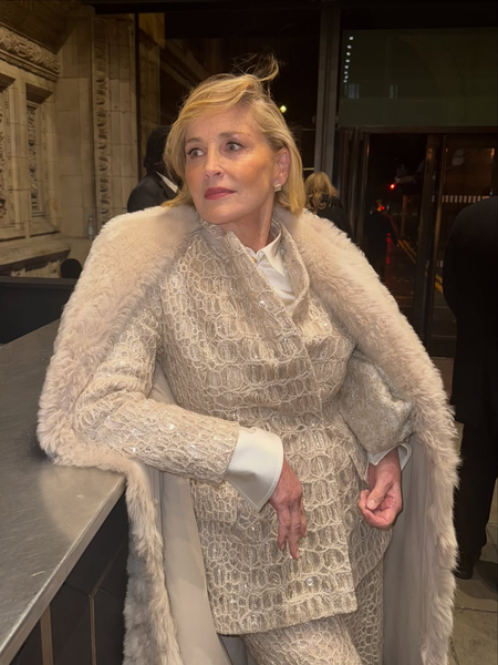 Sharon Stone pays tribute to AIDS victims amid changing US recognition