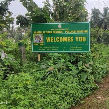 TN forest department panel lays out measures to tackle human–wildlife conflict in Valparai