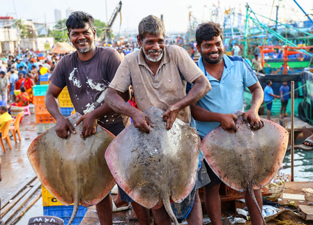 India to host envoys of 83 countries at roundtable on seafood exports