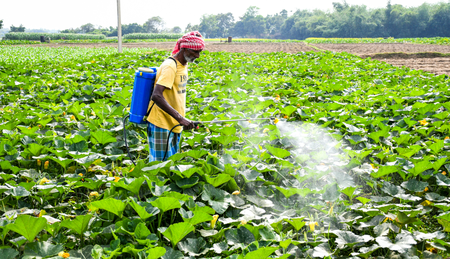 Centre cracks down to curb diversion, misuse of fertilisers in crop season