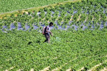 Agriculture must play a central role in national transformation: Niti Aayog report