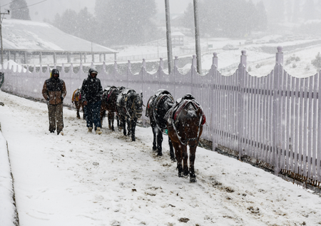 <div>Gulmarg freezes at minus 8.8, cold wave intensifies in J&K</div>