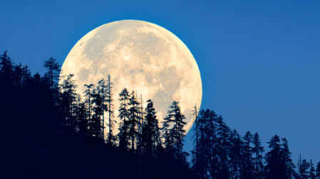 On Paush Purnima, first ‘Wolf Supermoon’ to light up the sky today