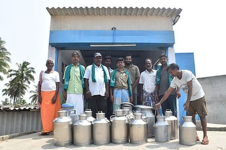 Aavin milk incentives delayed, TN farmers demand immediate govt intervention