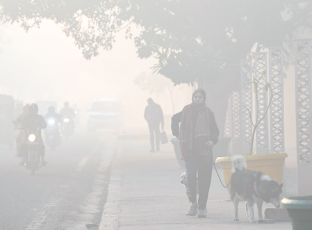 Delhi-NCR grapples with cold wave, poor air quality