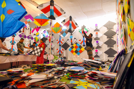 Rajasthan to host grand kite festival on January 14