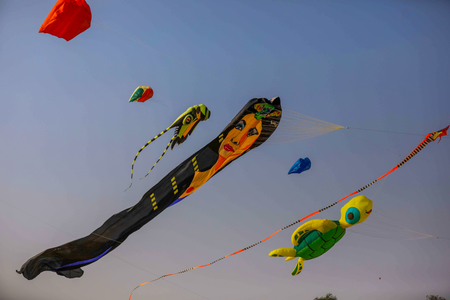 International kite festival begins in Hyderabad