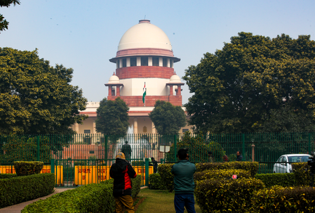 ‘Not sarcastic, very serious’: SC reiterates dogs feeders may be held responsible