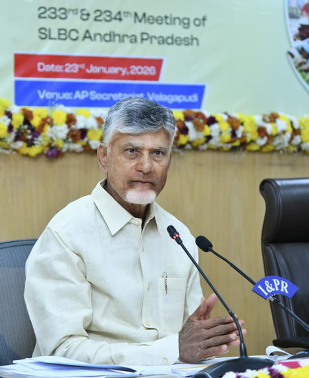 Andhra Pradesh CM asks banks to provide loans to renewable energy sector