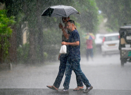 Rain, hailstorms strike several districts of MP