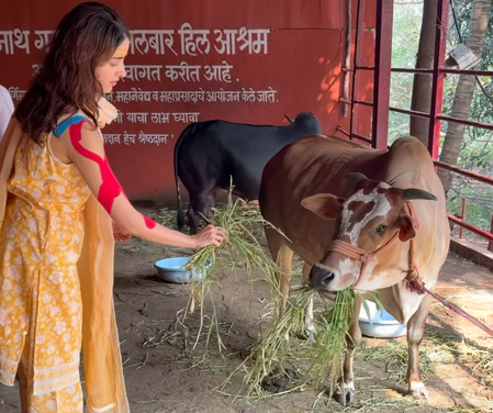 <div>Ananya Panday performs ‘Gau Seva’ during her visit to Lord Shiva temple</div>