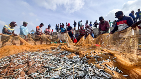 Bay of Bengal nations chart reform path for small-scale fisheries governance