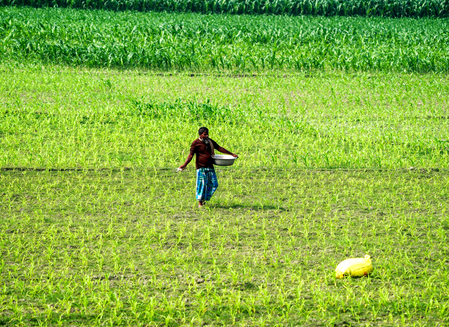 India’s agriculture GVA recorded 10.4 per cent growth in 2024–25: Minister