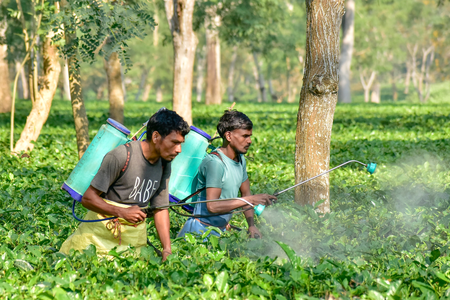 India’s unemployment rate declines in October-December quarter