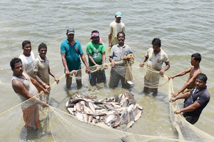 US tariff cut to provide relief to aquaculture sector, says Andhra minister
