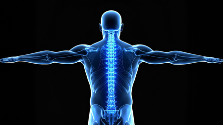 PM-JAY boosts access to complex spine surgeries, reduces out-of-pocket costs: Study