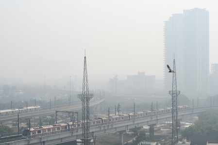CAQM tells northern states to curb wheat stubble burning during harvest season