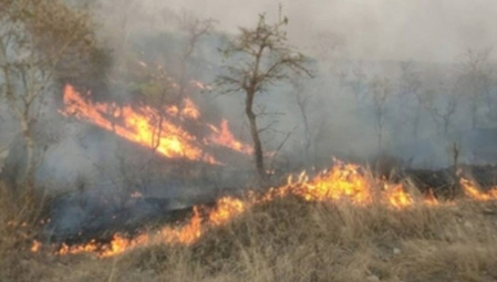 Firefight in Arunachal forests continues for fifth day