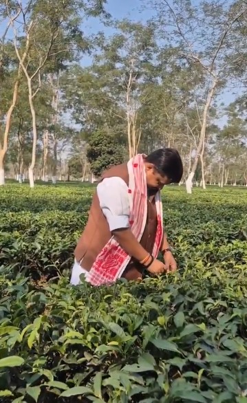 Nitin Nabin credits tea garden workers for Assam’s worldwide recognition