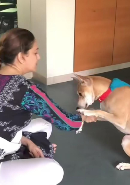 Madhuri Dixit shares fun moments with her fur babies, Dr Nene shares cute video