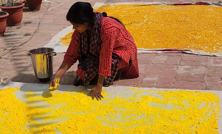 Aromatherapy-based gulal being prepared in Bhagalpur for Holi, women associated with SHGs leading unique initiative