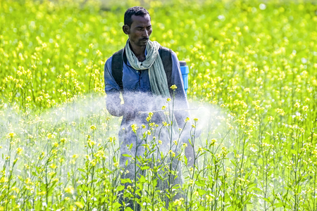 Haryana approves Rs 1,122 crore plan to strengthen agriculture, allied sectors