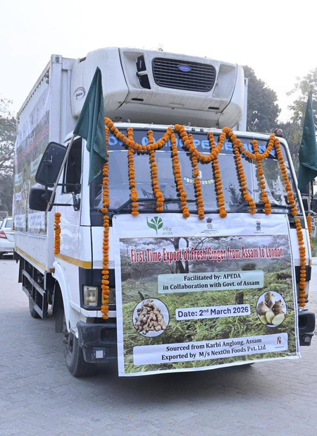 ‘Farmers step onto global stage’: CM Sarma on Assam’s 1st-ever export of GI-tagged Karbi Anglong ginger