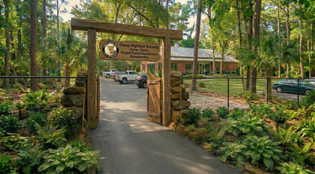 <div>Gujarat’s new Hi-Tech Nursery to strengthen afforestation efforts, protect rare flora</div>