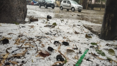 Bihar: Met Dept issues red alert in 16 districts after hailstorm