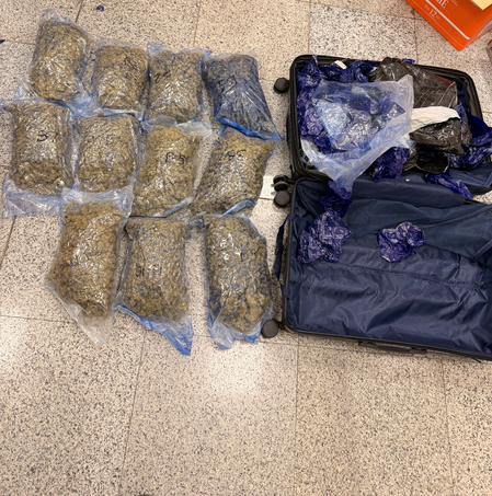 Hydroponic weeds worth Rs 8.9 crore seized at Hyderabad Airport