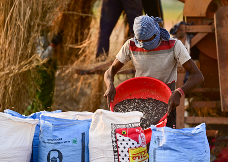 Uttar Pradesh leads in crop procurement through GeM portal, Gujarat and Maharashtra follow