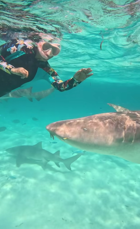 Hina Khan swims with sharks in the Maldivian sea