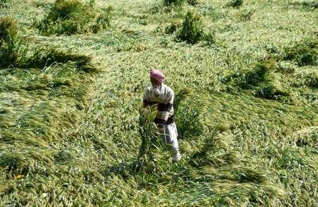 Shivraj Singh Chouhan takes stock of crop damage due to freak rains, hailstorms