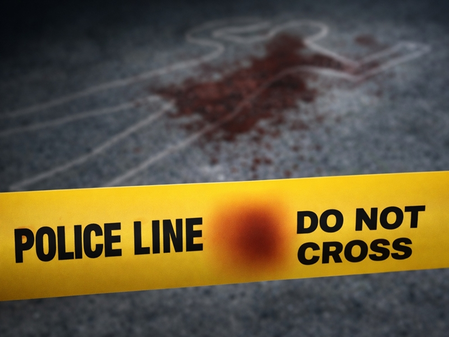Online gaming losses emerge as key link in Delhi murder, Alwar rape case
